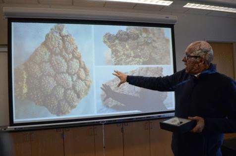 Trey Mewes/The Minnesota Star Tribune/TNS