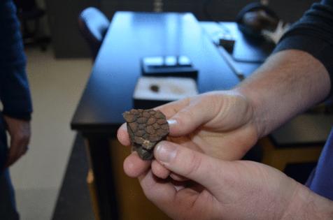 Trey Mewes/The Minnesota Star Tribune/TNS