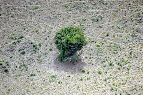 Mauro Pimentel/Getty Images North America/TNS