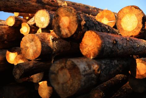 Chip Somodevilla/Getty Images North America/TNS