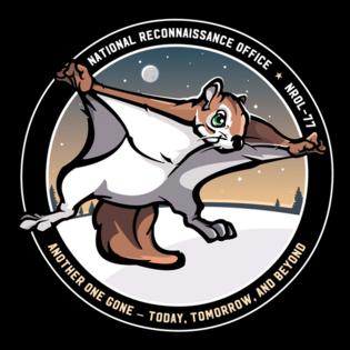 National Reconnaissance Office/TNS