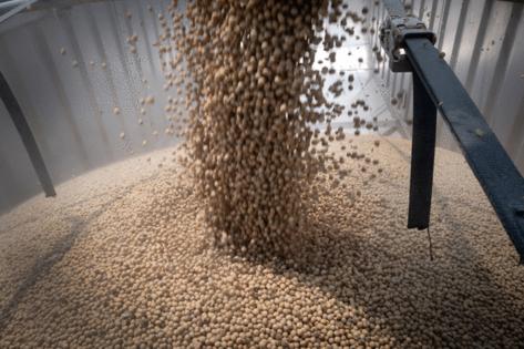 Scott Olson/Getty Images North America/TNS