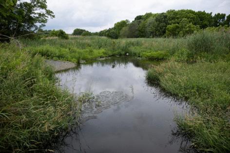 Monica Herndon/The Philadelphia Inquirer/TNS