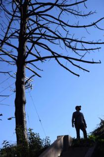 Genaro Molina/Los Angeles Times/TNS