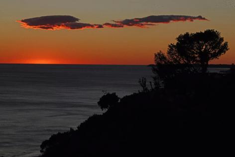 Genaro Molina/Los Angeles Times/TNS