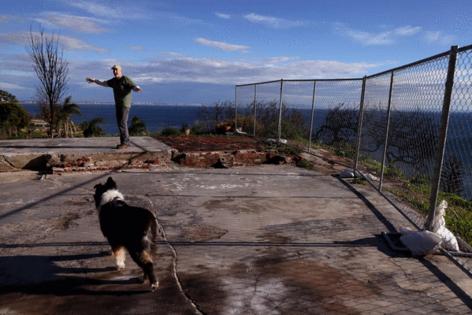 Genaro Molina/Los Angeles Times/TNS