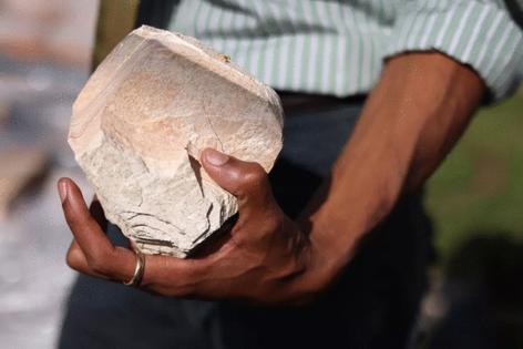 Genaro Molina/Los Angeles Times/TNS