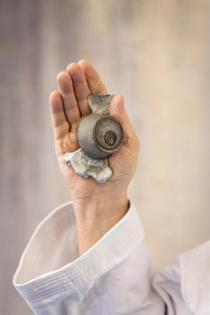 Jason Armond/Los Angeles Times/TNS