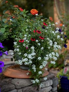 Norman Winter/Norman Winter/TNS