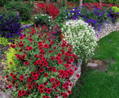 Norman Winter/Norman Winter/TNS