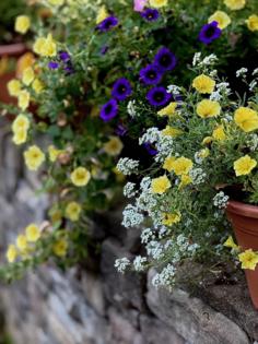 Norman Winter/Norman Winter/TNS