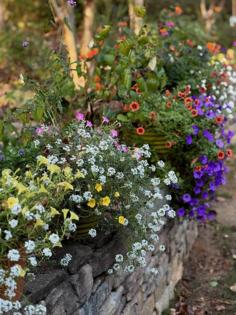 Norman Winter/Norman Winter/TNS