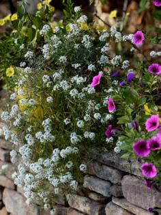 Norman Winter/Norman Winter/TNS