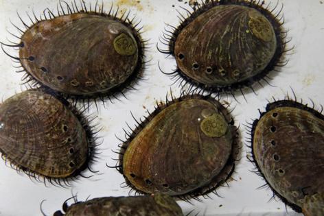 Carolyn Cole/Los Angeles Times/TNS