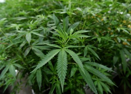 Brad Horrigan/TNS/TNS