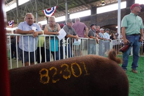 Scott Olson/Getty Images North America/TNS