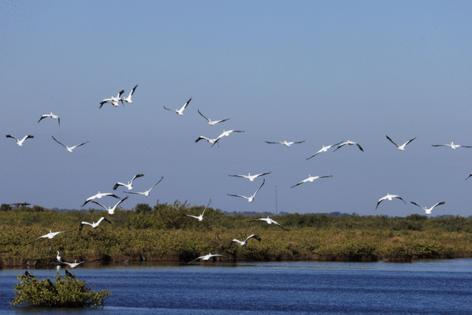 Bruce Bennett/Getty Images North America/TNS