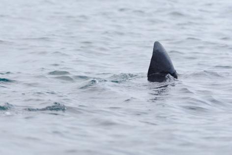 Dreamstime/Dreamstime/TNS