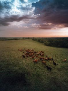 Ross Harried/ZUMA Press/TNS