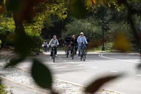 Barry Williams/New York Daily News/TNS