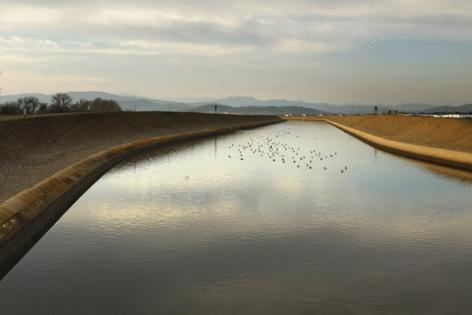 Carolyn Cole/Los Angeles Times/TNS