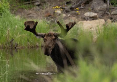 Jeff Wheeler/The Minnesota Star Tribune/TNS