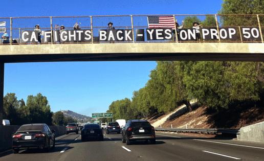 Genaro Molina/Los Angeles Times/TNS