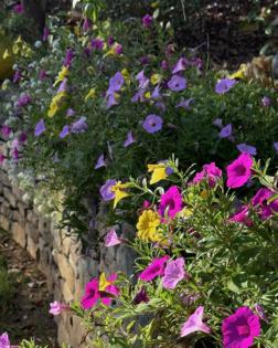 Norman Winter/Norman Winter/TNS