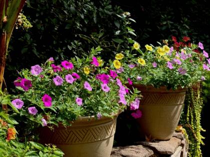 Norman Winter/Norman Winter/TNS