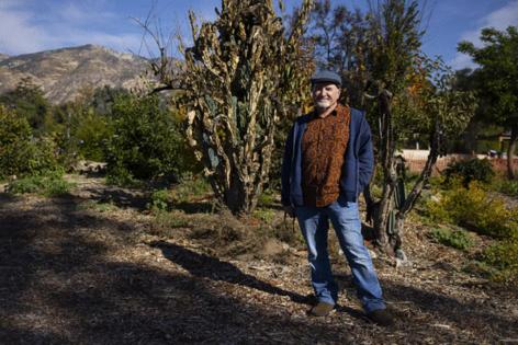 Kayla Bartkowski/Los Angeles Times/TNS