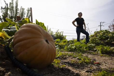 Kayla Bartkowski/Los Angeles Times/TNS