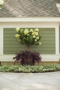 Norman Winter/Norman Winter/TNS