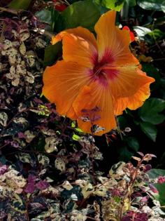 Norman Winter/Norman Winter/TNS