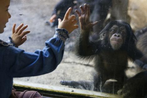 Kayla Bartkowski/Los Angeles Times/TNS