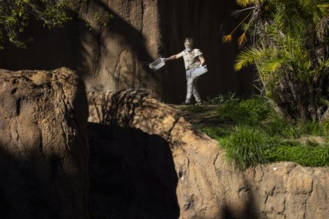 Kayla Bartkowski/Los Angeles Times/TNS