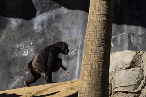 Kayla Bartkowski/Los Angeles Times/TNS