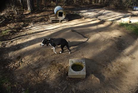 U.S. Department of Justice/TNS