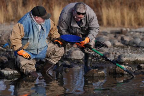 Anthony Souffle/The Minnesota Star Tribune/TNS