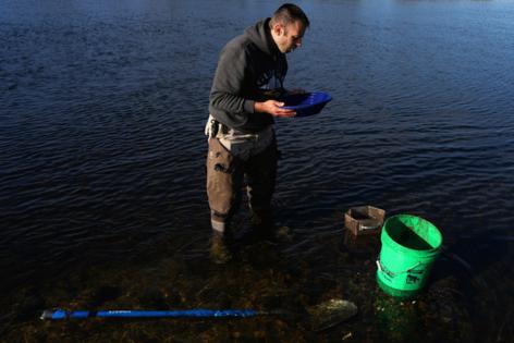 Anthony Souffle/The Minnesota Star Tribune/TNS