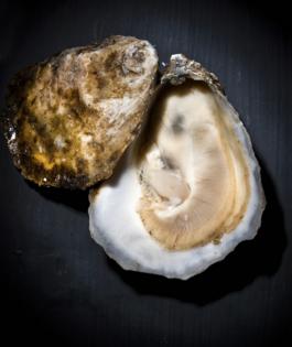 Bill Hogan/Chicago Tribune/TNS