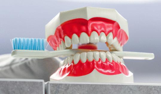 Tracy Glantz/The Island Packet/TNS