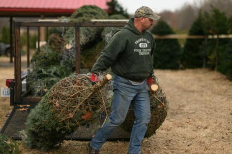 David Guralnick/The Detroit News/TNS