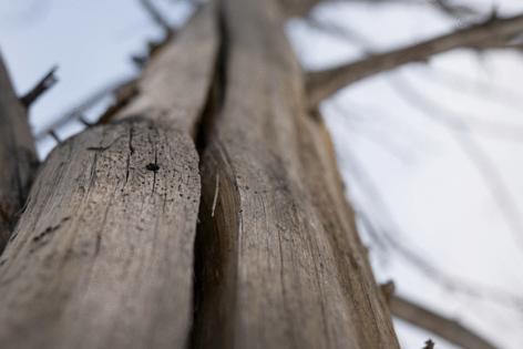 Timothy Hurst/The Denver Post/TNS