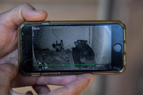 Juliana Yamada/Los Angeles Times/TNS