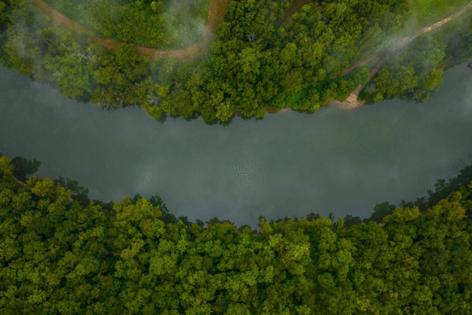 Ryan C. Hermens/Lexington Herald-Leader/TNS