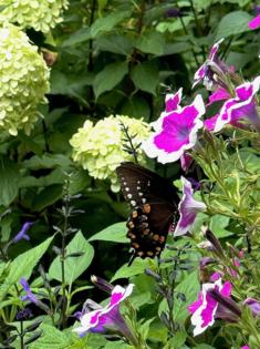 Norman Winter/Norman Winter/TNS