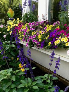 Norman Winter/Norman Winter/TNS