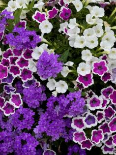 Norman Winter/Norman Winter/TNS