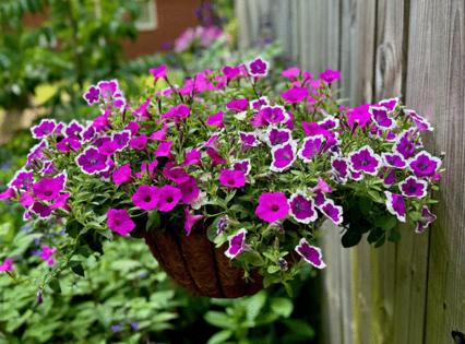 Norman Winter/Norman Winter/TNS