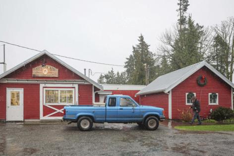 Ivy Ceballo/The Seattle Times/TNS